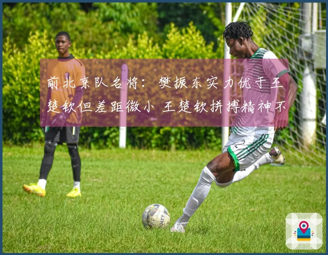 前北京队名将：樊振东实力优于王楚钦但差距微小 王楚钦拼搏精神不容小觑