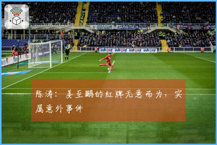陈涛：姜至鹏的红牌无意而为，实属意外事件